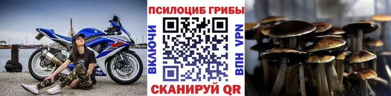 Псилоцибиновые грибы прущие грибы  наркотики  Лакинск 
